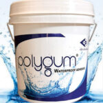 Polygum_WP_image